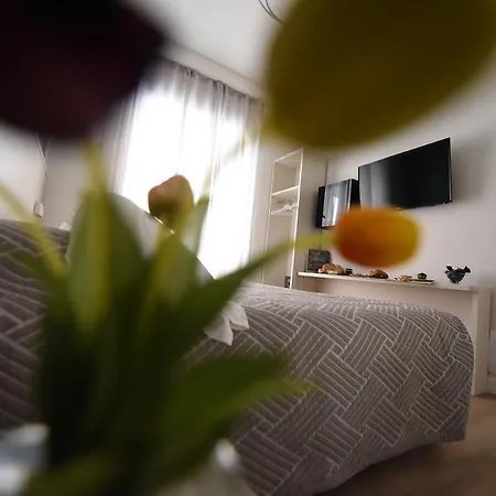 Nicola's Luxury Affittacamere